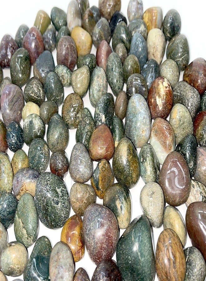 Schmick Pebbles for Decoration - Fancy Tumble Pebbles Stones for Fish Tank Aquarium, Fountain, Table Decor - Decorative Pebbles Stones and Vase Fillers - Pebbles for Plants Pots and Garden Decor (2.9 Kg, Fancy Tumble) - Image 4